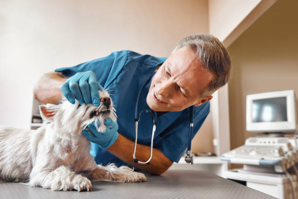 Best Same-Day Emergency Appointments in Warrington, FL